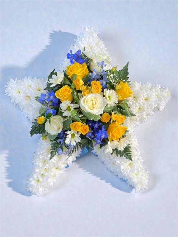 Star tribute